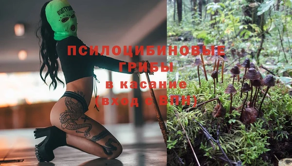 эйфоретик Володарск