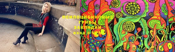 a pvp Верхний Тагил