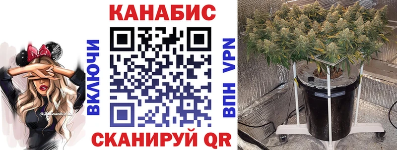 Бошки Шишки VHQ  Купить где  Краснослободск 